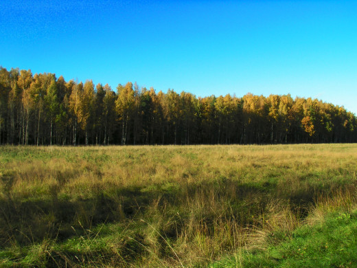 29928 (a): :1024x768